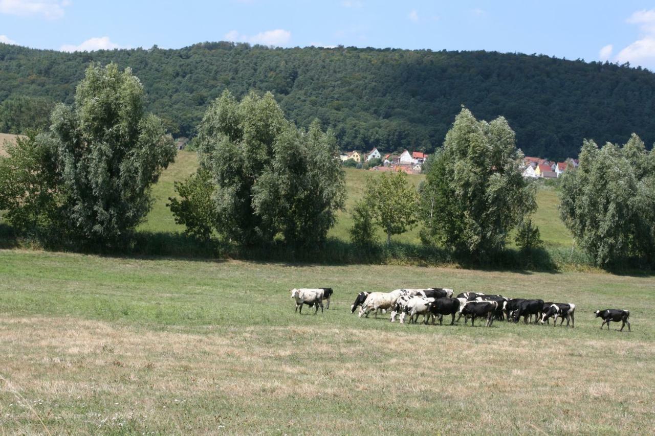 La Ferme De Georges Apt 1 A 6 Pers Bischholtz Exterior photo